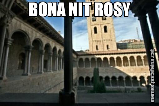 BONA NIT ROSY