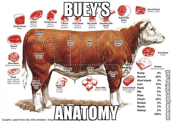 BUEY'S ANATOMY