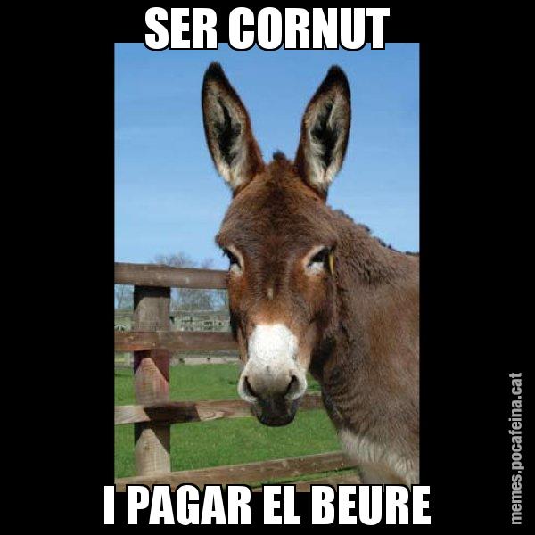 SER CORNUT I PAGAR EL BEURE - El burro Català