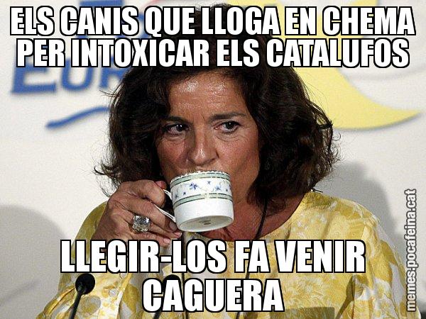 ELS CANIS QUE LLOGA EN CHEMA PER INTOXICAR ELS CATALUFOS LLEGIR-LOS FA VENIR CAGUERA - Ana Botella relaxing cup