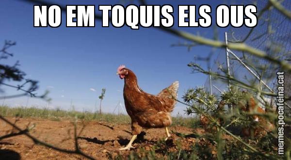 NO EM TOQUIS ELS OUS