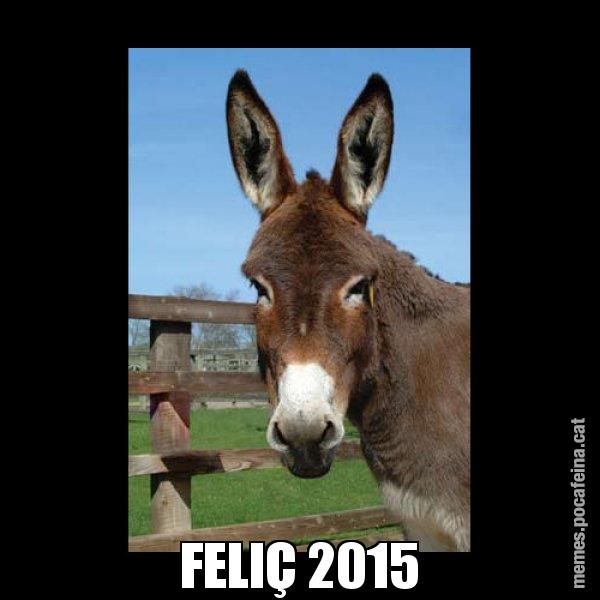 FELIÇ 2015 - El burro Català