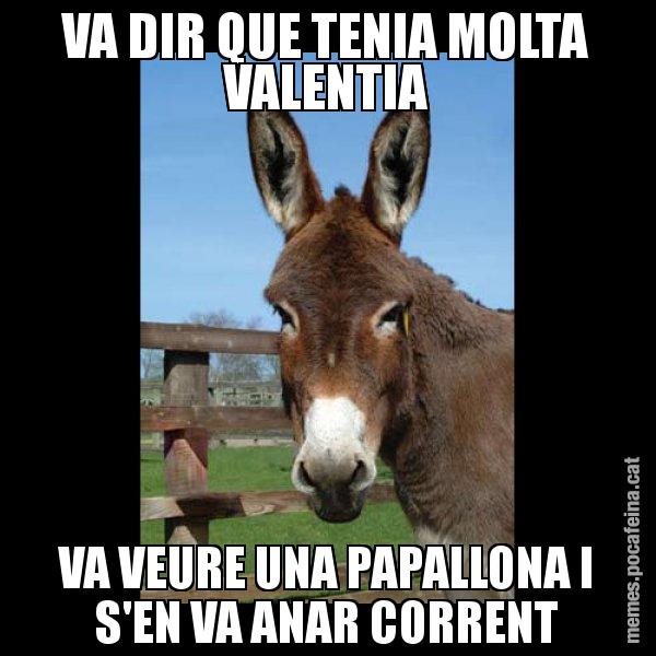 VA DIR QUE TENIA MOLTA VALENTIA VA VEURE UNA PAPALLONA I S'EN VA ANAR CORRENT - El burro Català