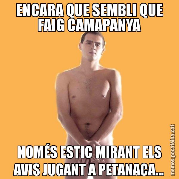 ENCARA QUE SEMBLI QUE FAIG CAMAPANYA NOMÉS ESTIC MIRANT ELS AVIS JUGANT A PETANACA... - Albert Rivera