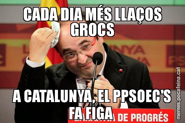 CADA DIA MÉS LLAÇOS GROCS A CATALUNYA, EL PPSOEC'S FA FIGA