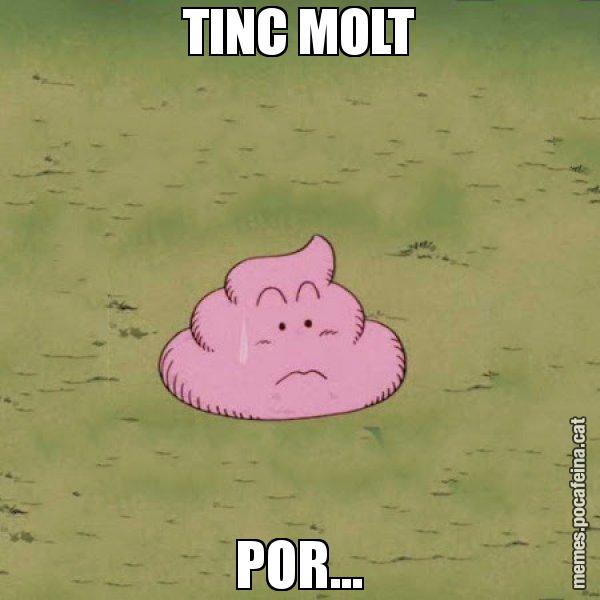 TINC MOLT POR... - Caca