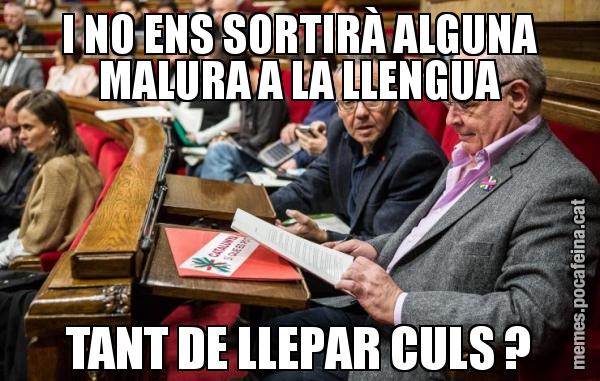 I NO ENS SORTIRÀ ALGUNA MALURA A LA LLENGUA TANT DE LLEPAR CULS ?