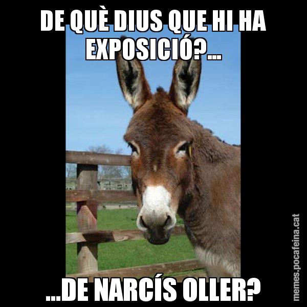 DE QUÈ DIUS QUE HI HA EXPOSICIÓ?... ...DE NARCÍS OLLER? - El burro Català