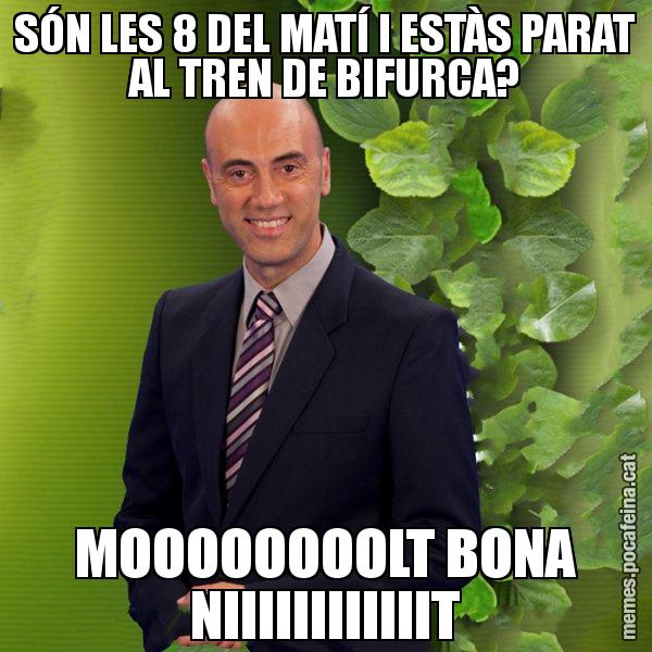 SÓN LES 8 DEL MATÍ I ESTÀS PARAT AL TREN DE BIFURCA? MOOOOOOOOLT BONA NIIIIIIIIIIIIT - Tomàs Molina