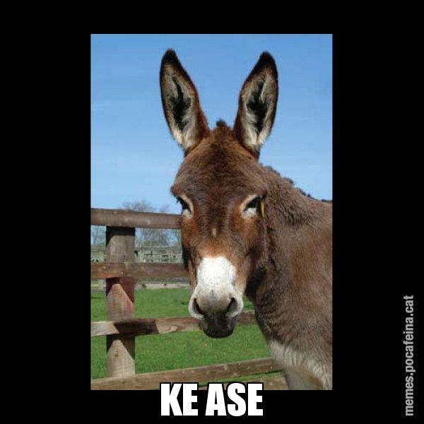 KE ASE - El burro Català
