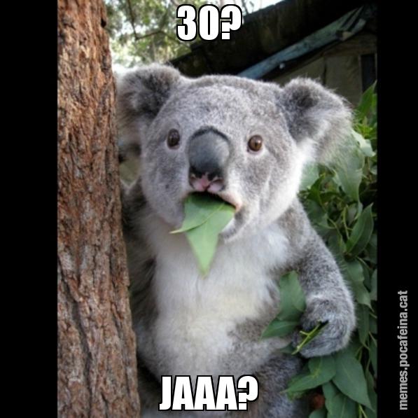 30? JAAA? - Koala Cant Believe It