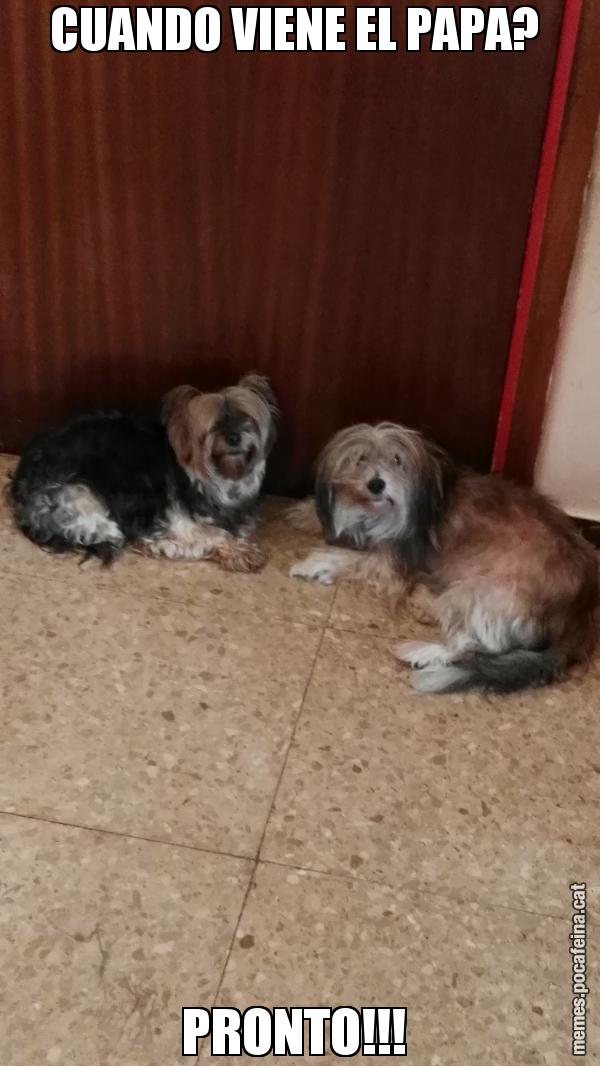 CUANDO VIENE EL PAPA?  PRONTO!!!