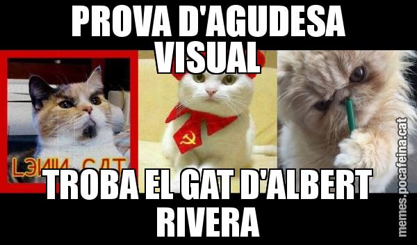 PROVA D'AGUDESA VISUAL TROBA EL GAT D'ALBERT RIVERA